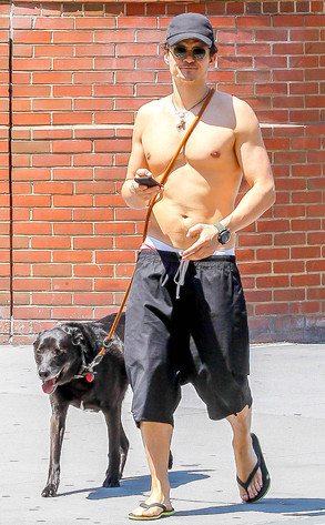Orlando Bloom, Flynn, Dog Orlando Bloom, Flynn, Dog